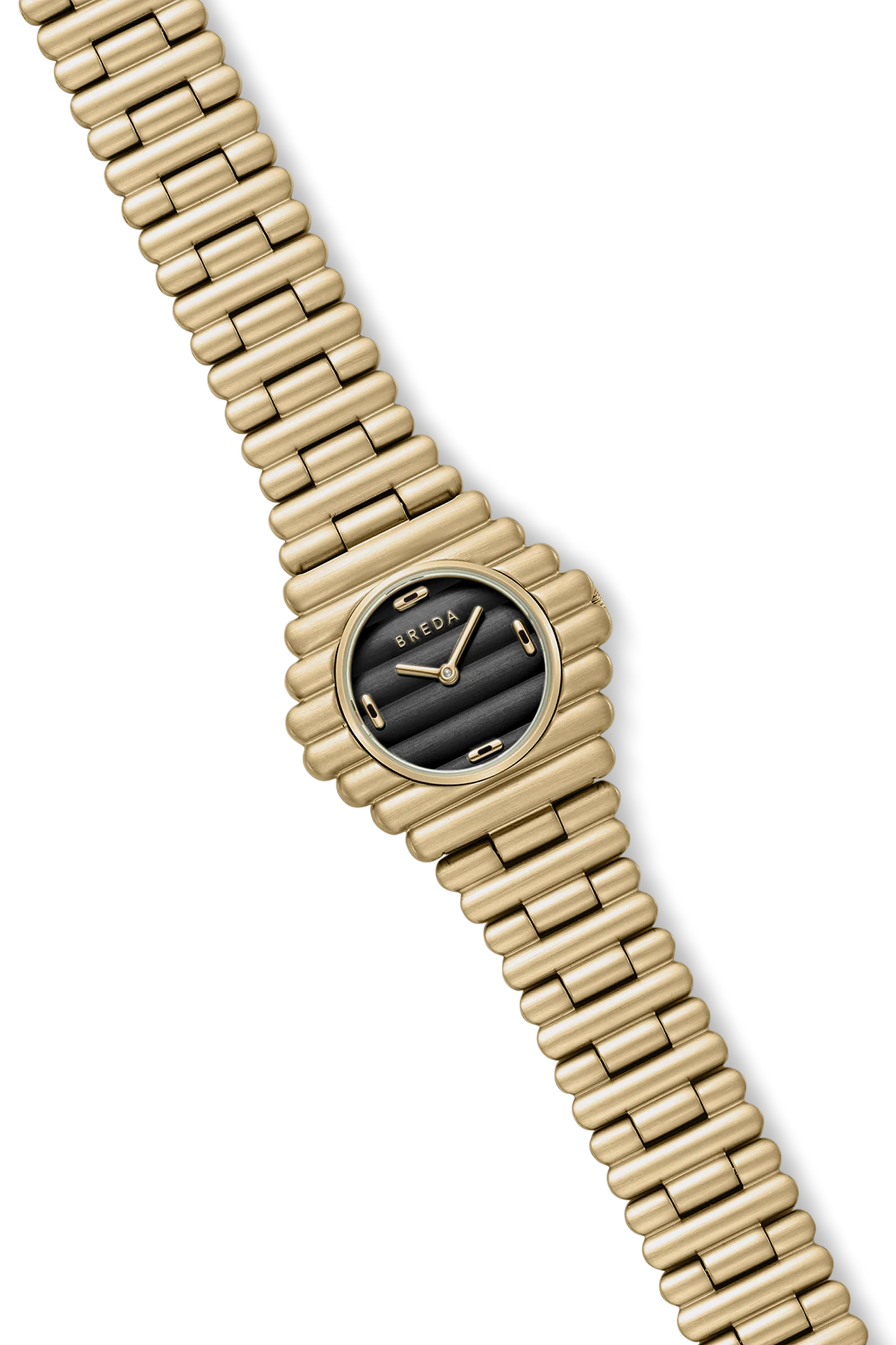 Coda Gold Midnight