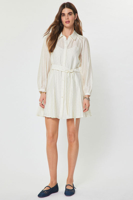Stardust Shirt Dress