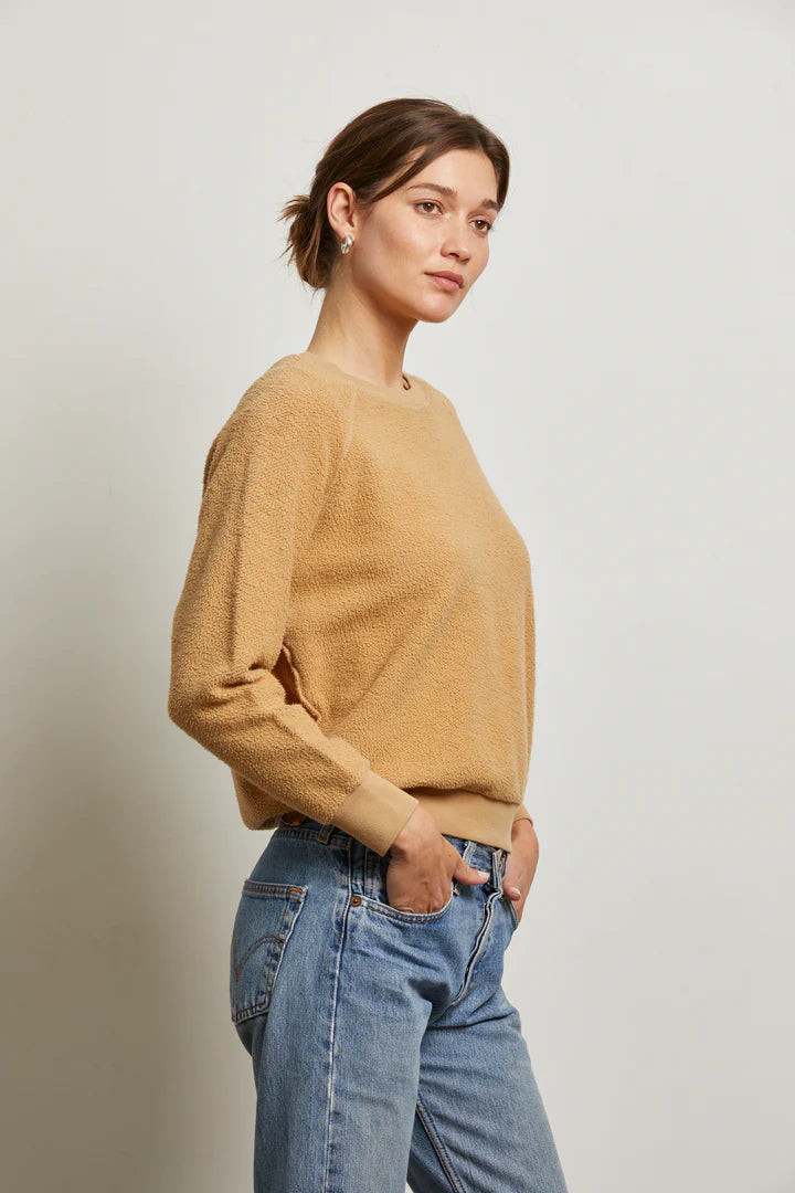 Ziggy Suede