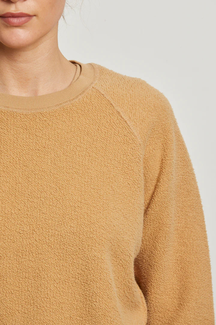 Ziggy Suede