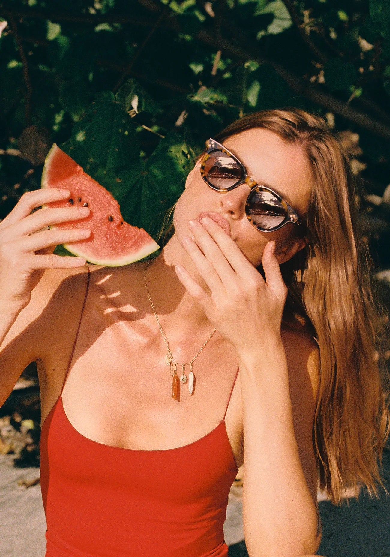 Devon Nikko Tortoise