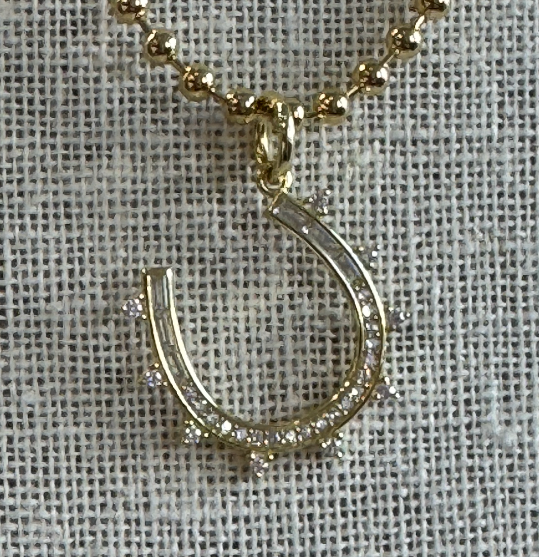 Horseshoe Lucky Charm