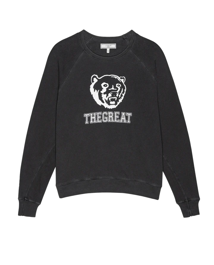 The College Sweatshirt Bear